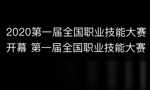2020第一届全国职业技能大赛开幕 第一届全国职业技能大赛比赛项目