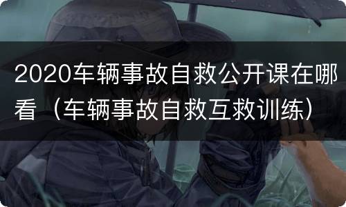 2020车辆事故自救公开课在哪看（车辆事故自救互救训练）