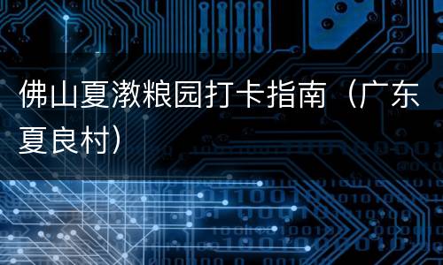 佛山夏漖粮园打卡指南（广东夏良村）
