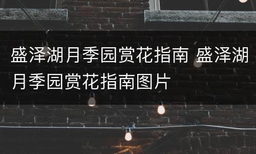 盛泽湖月季园赏花指南 盛泽湖月季园赏花指南图片