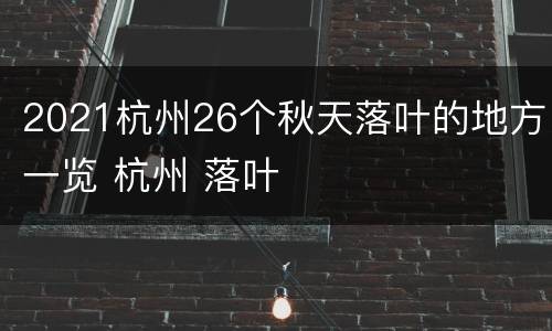 2021杭州26个秋天落叶的地方一览 杭州 落叶