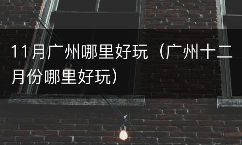11月广州哪里好玩（广州十二月份哪里好玩）