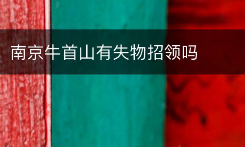 南京牛首山有失物招领吗