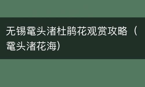 无锡鼋头渚杜鹃花观赏攻略（鼋头渚花海）