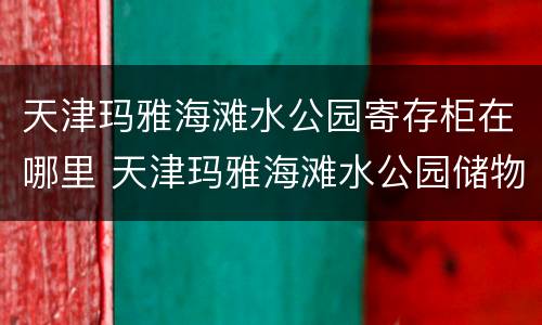 天津玛雅海滩水公园寄存柜在哪里 天津玛雅海滩水公园储物柜多钱