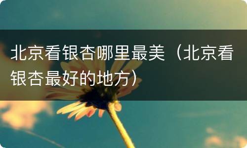 北京看银杏哪里最美（北京看银杏最好的地方）