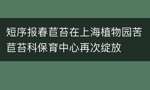 短序报春苣苔在上海植物园苦苣苔科保育中心再次绽放