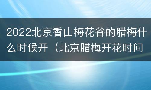 2022北京香山梅花谷的腊梅什么时候开（北京腊梅开花时间）