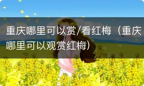 重庆哪里可以赏/看红梅（重庆哪里可以观赏红梅）