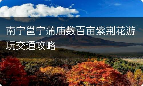 南宁邕宁蒲庙数百亩紫荆花游玩交通攻略