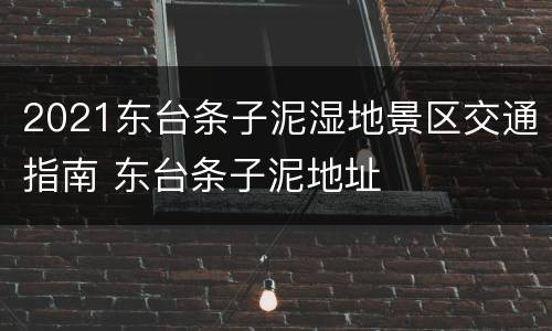 2021东台条子泥湿地景区交通指南 东台条子泥地址