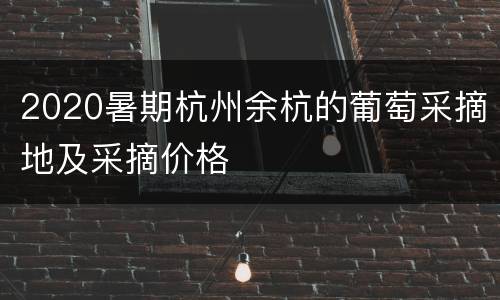2020暑期杭州余杭的葡萄采摘地及采摘价格