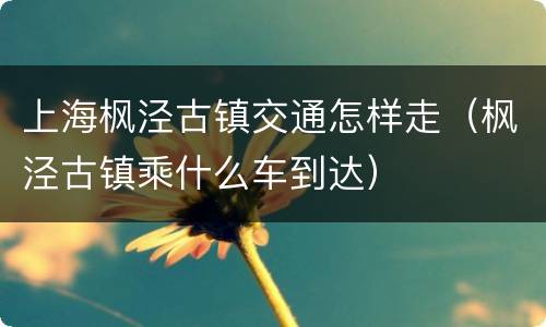 上海枫泾古镇交通怎样走（枫泾古镇乘什么车到达）
