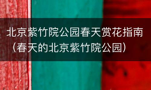 北京紫竹院公园春天赏花指南（春天的北京紫竹院公园）