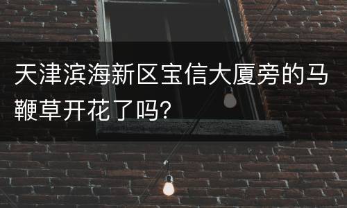 天津滨海新区宝信大厦旁的马鞭草开花了吗？