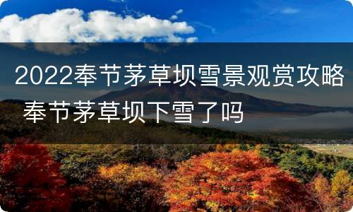 2022奉节茅草坝雪景观赏攻略 奉节茅草坝下雪了吗