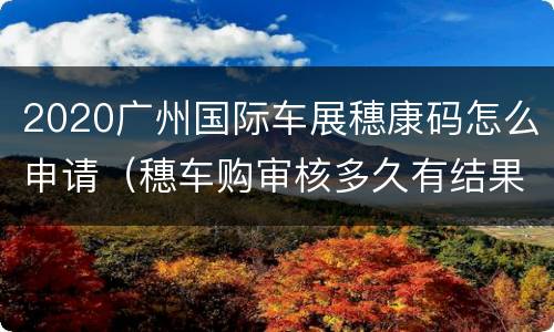2020广州国际车展穗康码怎么申请（穗车购审核多久有结果）