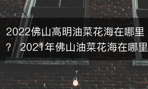 2022佛山高明油菜花海在哪里？ 2021年佛山油菜花海在哪里