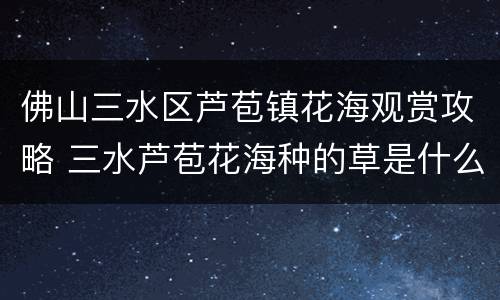 佛山三水区芦苞镇花海观赏攻略 三水芦苞花海种的草是什么草