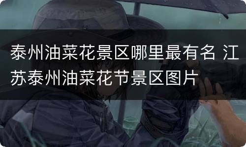 泰州油菜花景区哪里最有名 江苏泰州油菜花节景区图片