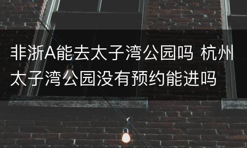 非浙A能去太子湾公园吗 杭州太子湾公园没有预约能进吗