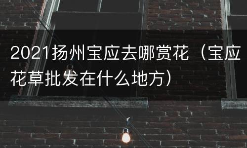 2021扬州宝应去哪赏花（宝应花草批发在什么地方）