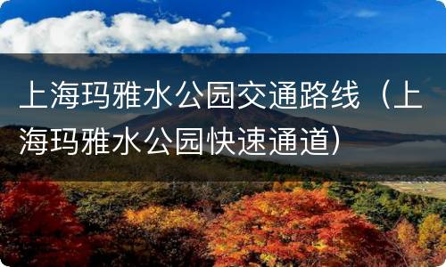上海玛雅水公园交通路线（上海玛雅水公园快速通道）