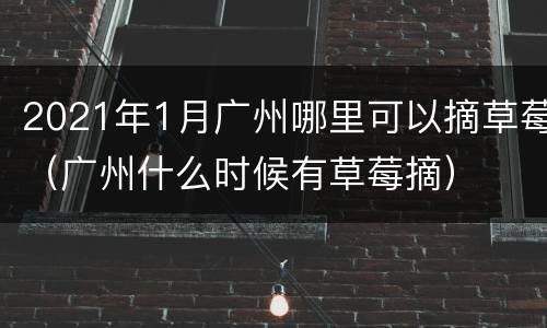 2021年1月广州哪里可以摘草莓（广州什么时候有草莓摘）