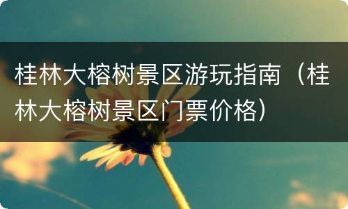 桂林大榕树景区游玩指南（桂林大榕树景区门票价格）
