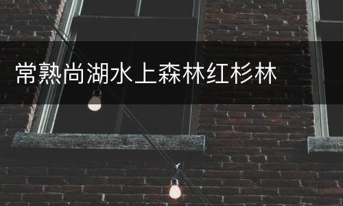常熟尚湖水上森林红杉林