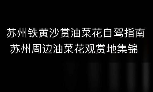 苏州铁黄沙赏油菜花自驾指南 苏州周边油菜花观赏地集锦