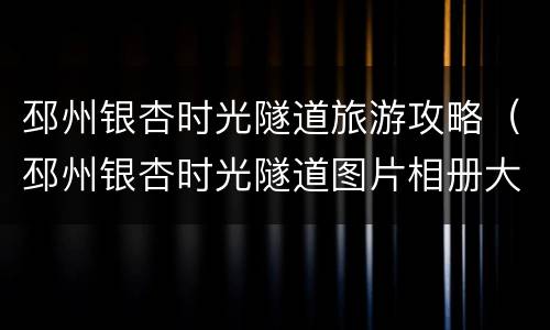 邳州银杏时光隧道旅游攻略（邳州银杏时光隧道图片相册大全）