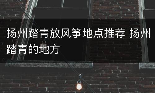 扬州踏青放风筝地点推荐 扬州踏青的地方