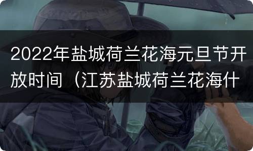 2022年盐城荷兰花海元旦节开放时间（江苏盐城荷兰花海什么时候去玩最好）