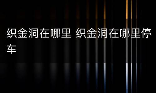 织金洞在哪里 织金洞在哪里停车