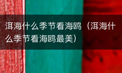 洱海什么季节看海鸥（洱海什么季节看海鸥最美）