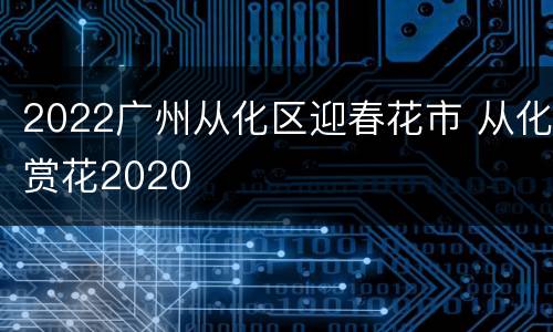 2022广州从化区迎春花市 从化赏花2020