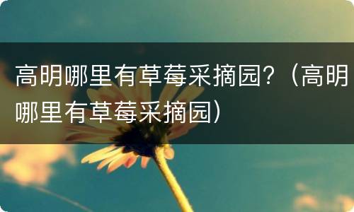 高明哪里有草莓采摘园?（高明哪里有草莓采摘园）
