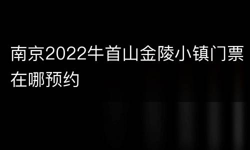 南京2022牛首山金陵小镇门票在哪预约