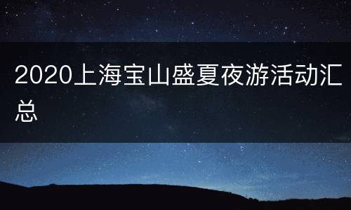 2020上海宝山盛夏夜游活动汇总