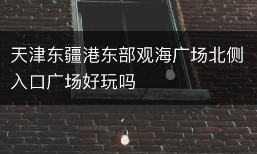天津东疆港东部观海广场北侧入口广场好玩吗