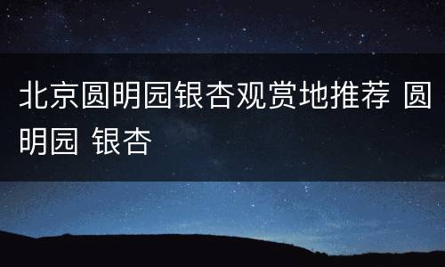 北京圆明园银杏观赏地推荐 圆明园 银杏