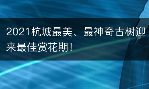 2021杭城最美、最神奇古树迎来最佳赏花期！