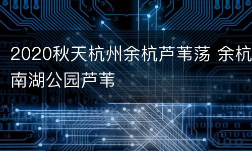 2020秋天杭州余杭芦苇荡 余杭南湖公园芦苇