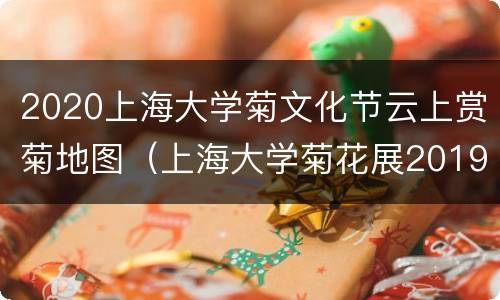 2020上海大学菊文化节云上赏菊地图（上海大学菊花展2019）