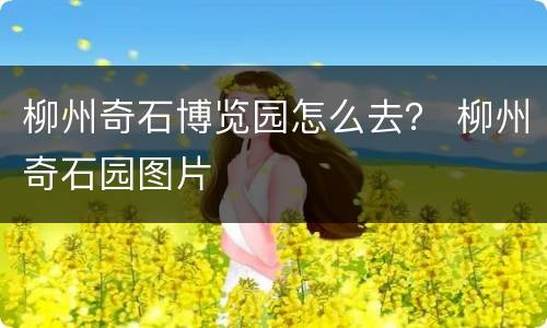 柳州奇石博览园怎么去？ 柳州奇石园图片