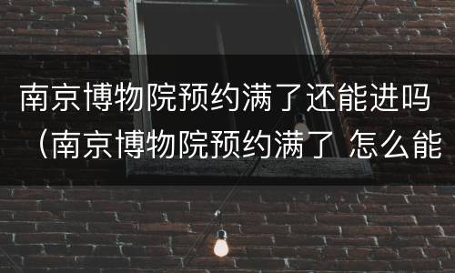 南京博物院预约满了还能进吗（南京博物院预约满了 怎么能进去）