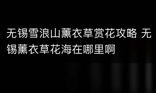 无锡雪浪山薰衣草赏花攻略 无锡薰衣草花海在哪里啊