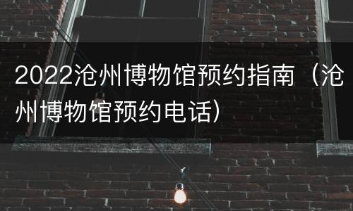 2022沧州博物馆预约指南（沧州博物馆预约电话）