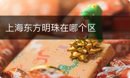 上海东方明珠在哪个区